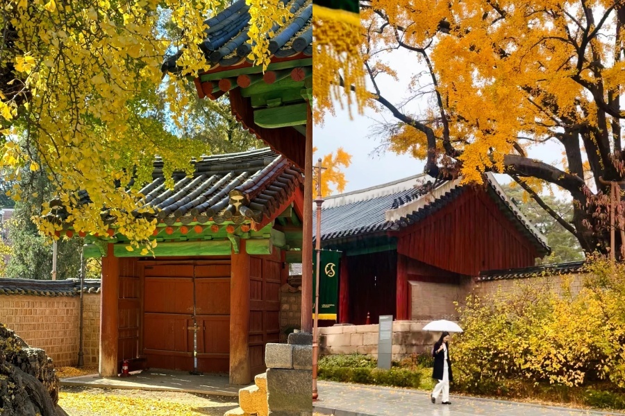 成均館大學明倫堂3.jpg