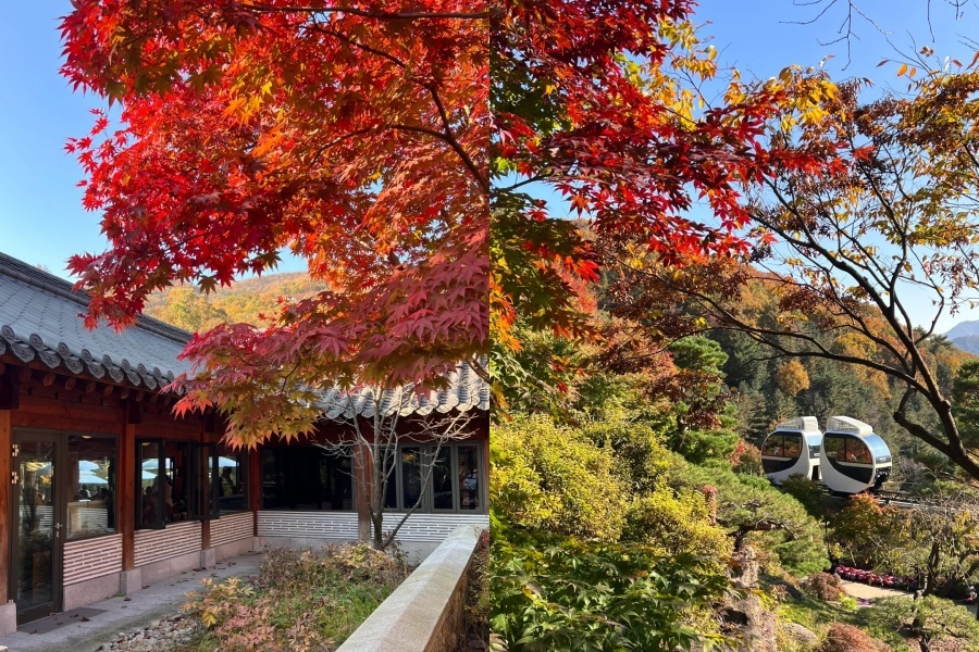 首尔林1.jpg