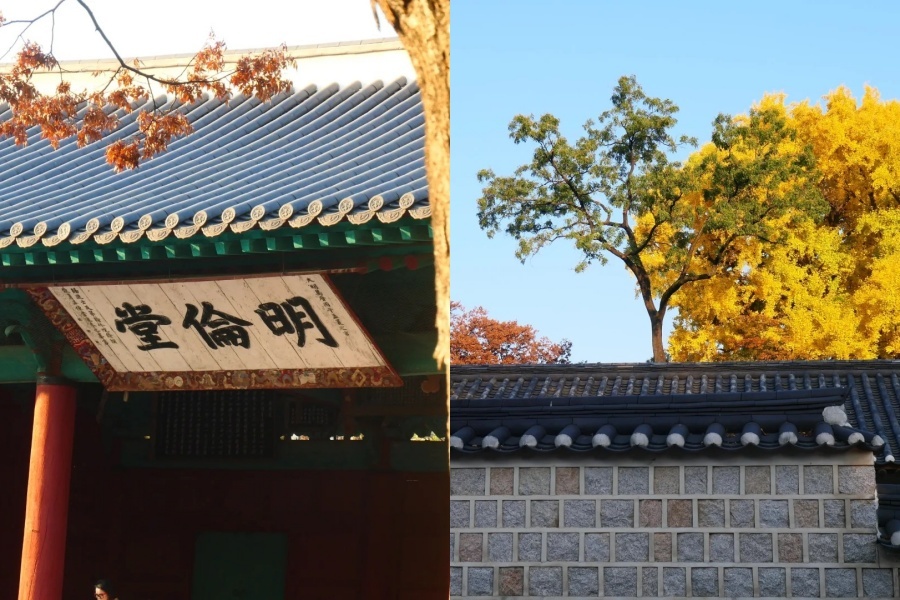 成均館大學明倫堂1.jpg