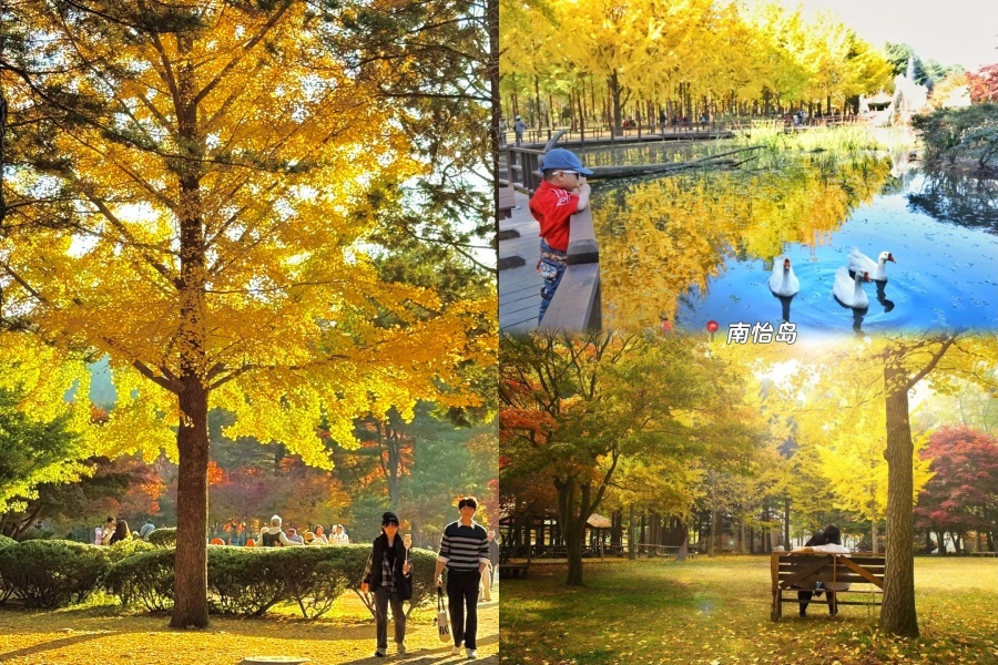 南怡岛2.jpg