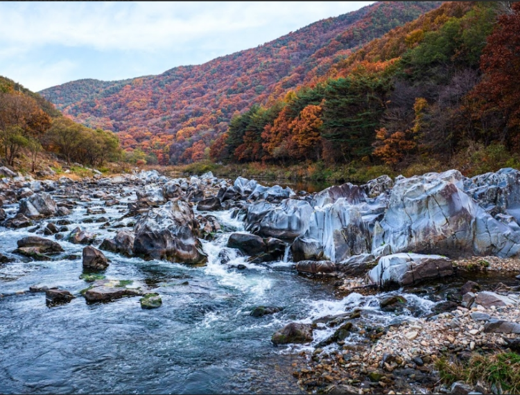 周王山4.png
