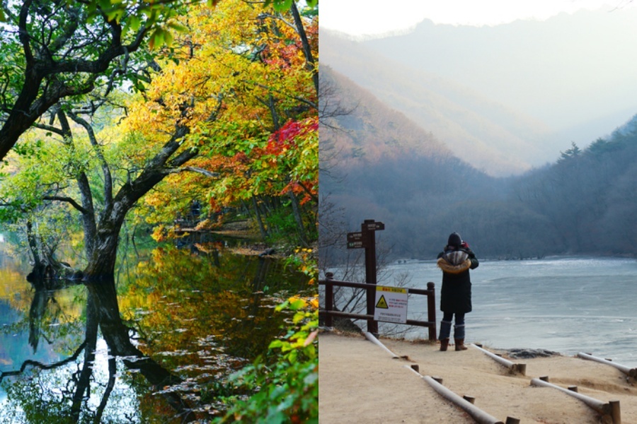 注山池1.jpg