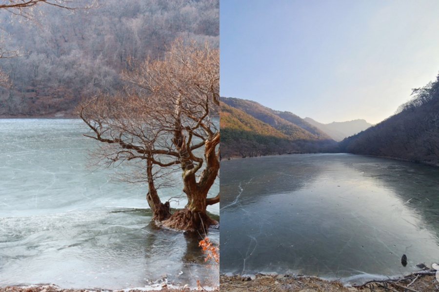 注山池2.jpg
