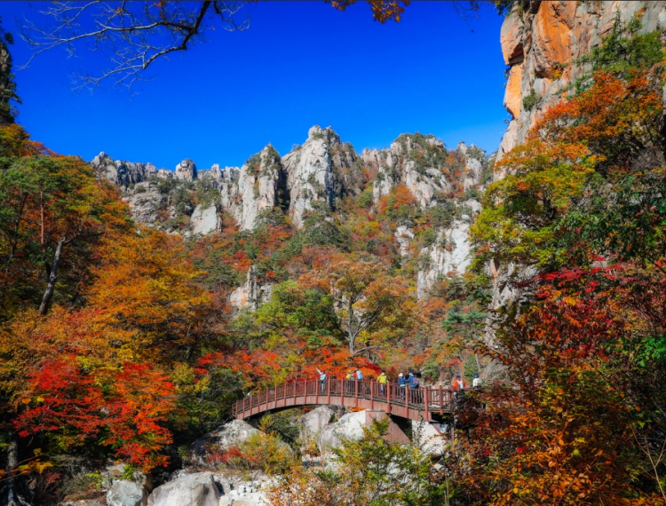 雪岳3_1.png