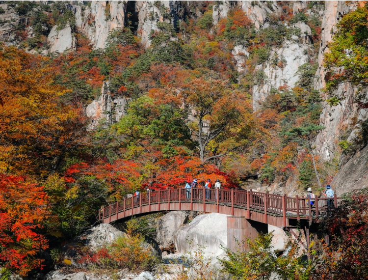 雪岳2_1.png