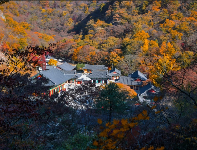 内藏山6_1.png