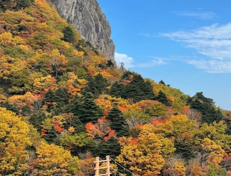 汉拿山1 (3).jpg