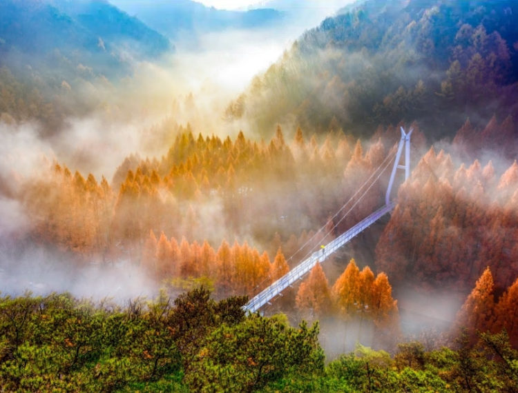 長泰山2_1.png