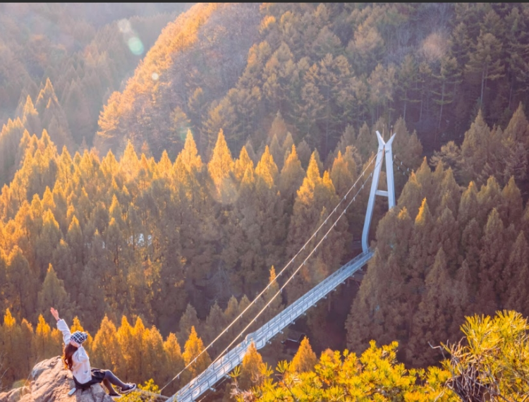 長泰山11_1.png