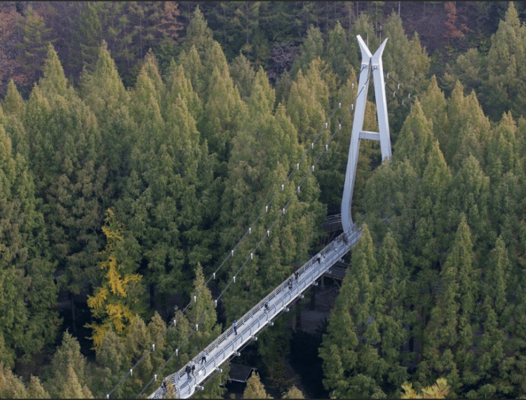 長泰山9_1.png