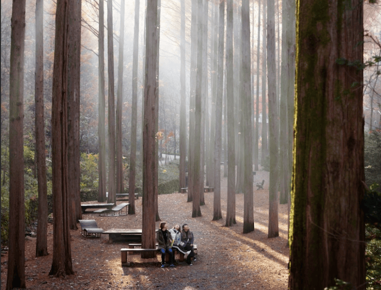 長泰山6_1.png