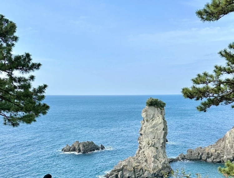 晴天的济州岛美的要命☀️_1_椰宝儿🥥出去耍_来自小红书网页版.jpg