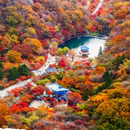城市介紹