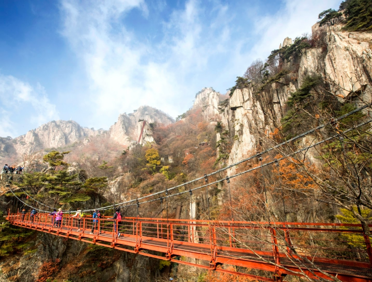 大屯山6_1.png
