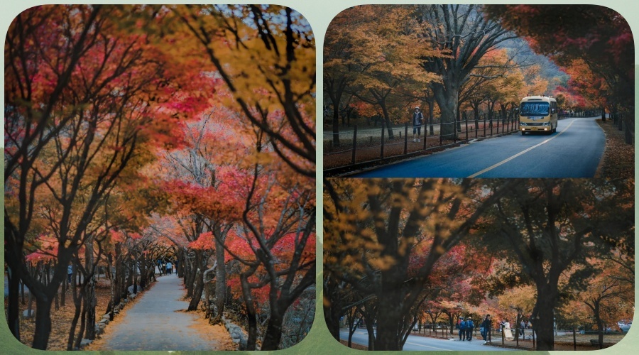 内藏山 (3).jpg