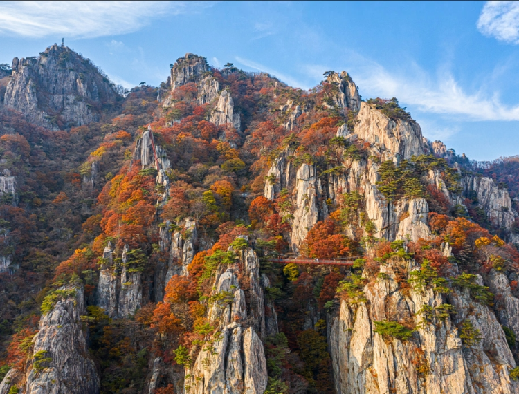 大屯山9_1.png