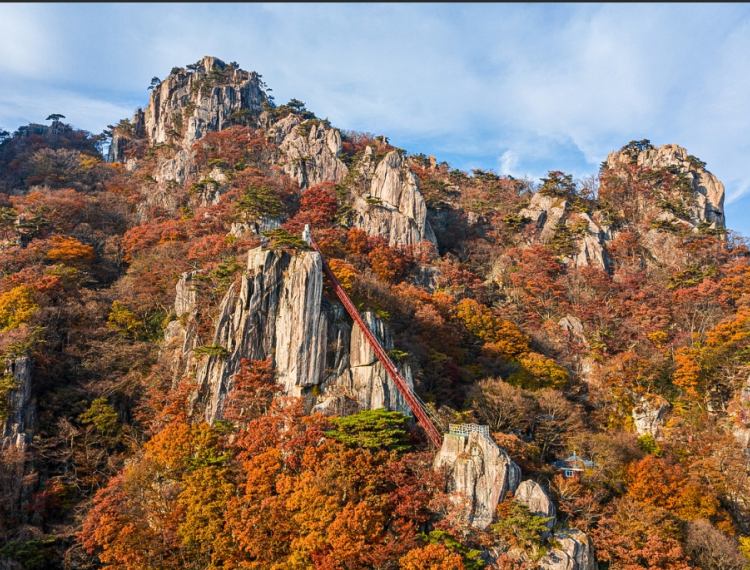 大屯山8_1.png