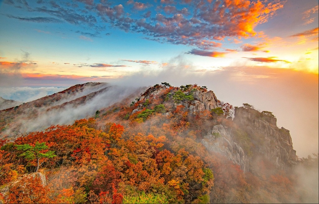 大屯山7.png