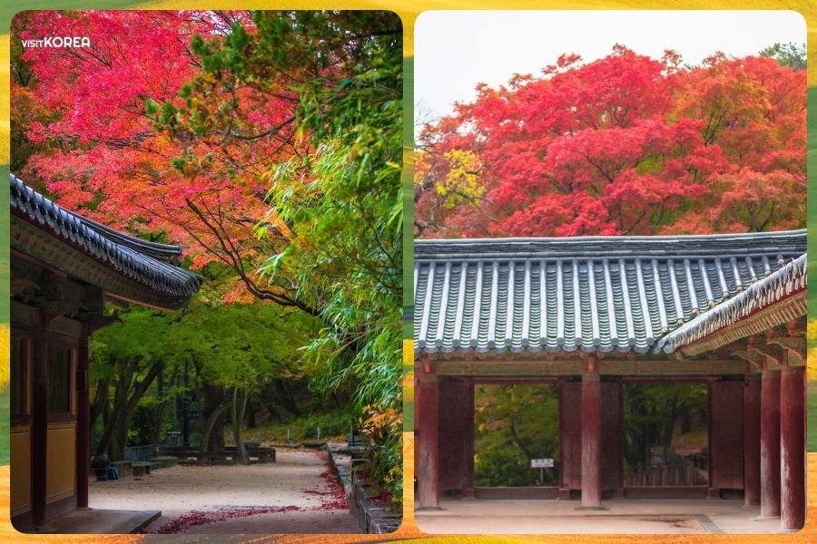 佛国寺2.jpg