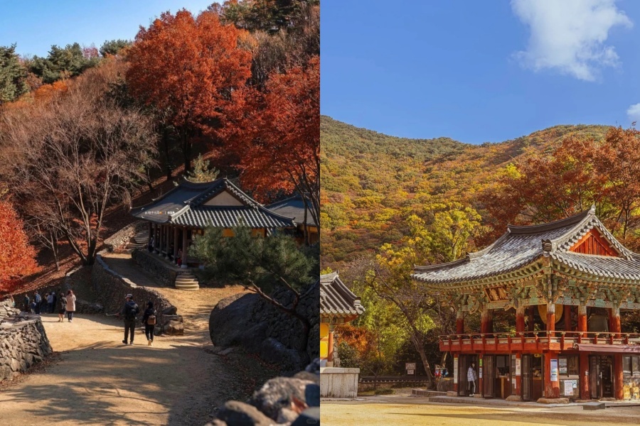 普门湖1.jpg
