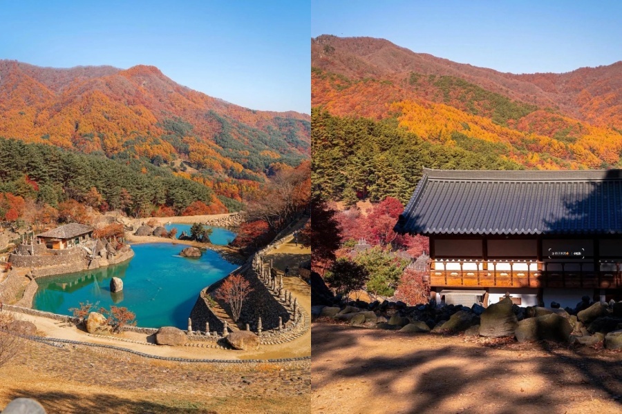 普门湖3.jpg