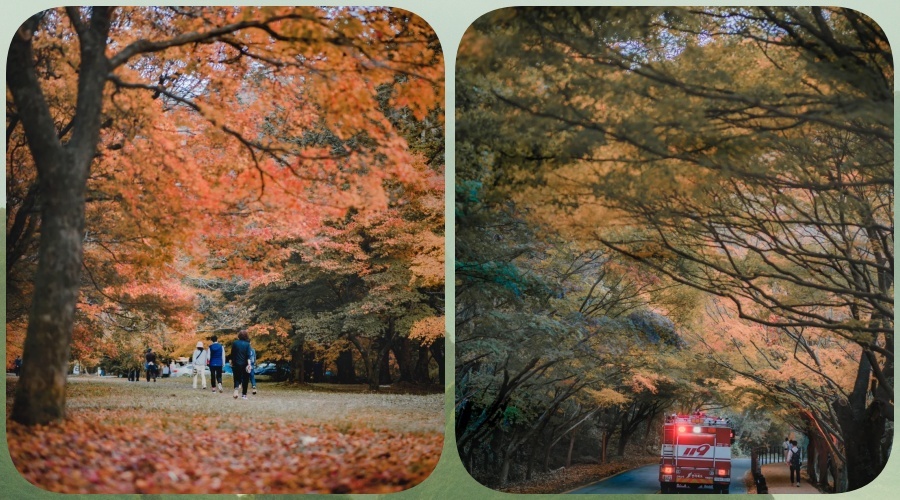 内藏山 (2).jpg