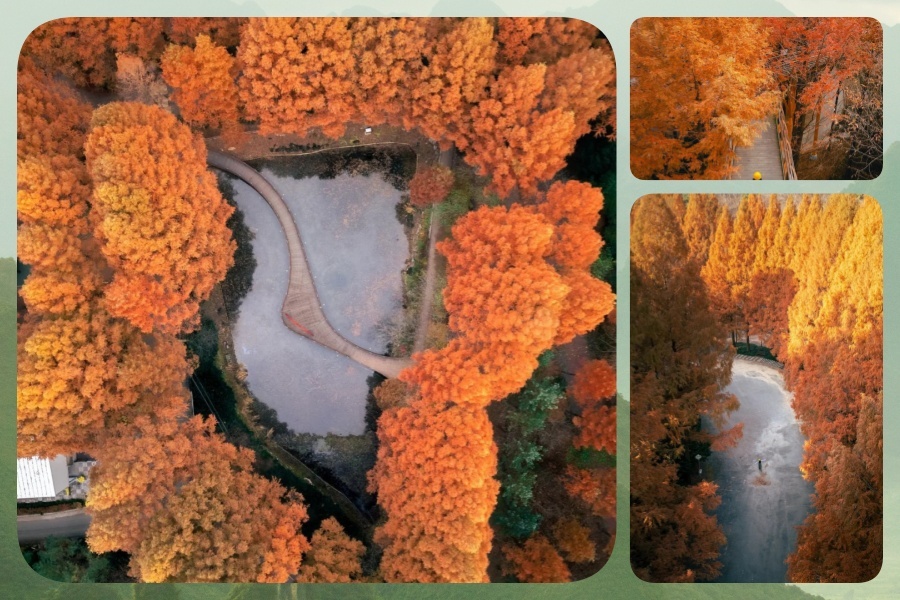 长泰1.jpg