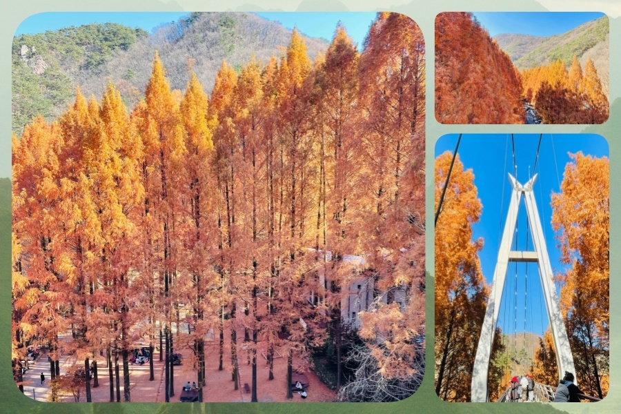 长泰4.jpg