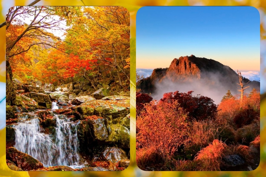 智异山3.jpg