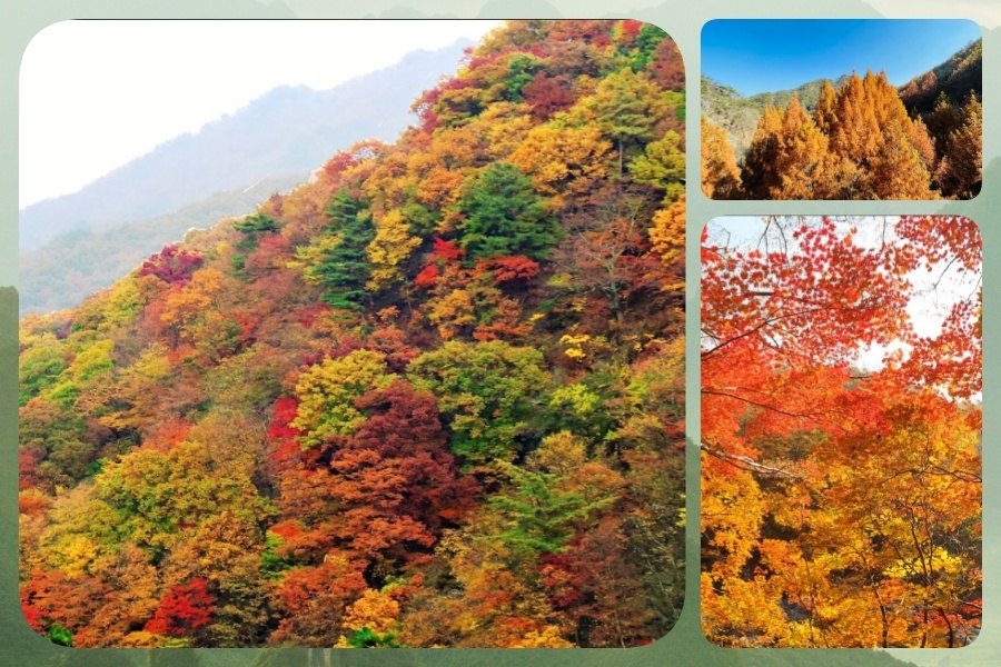智异山1.jpg