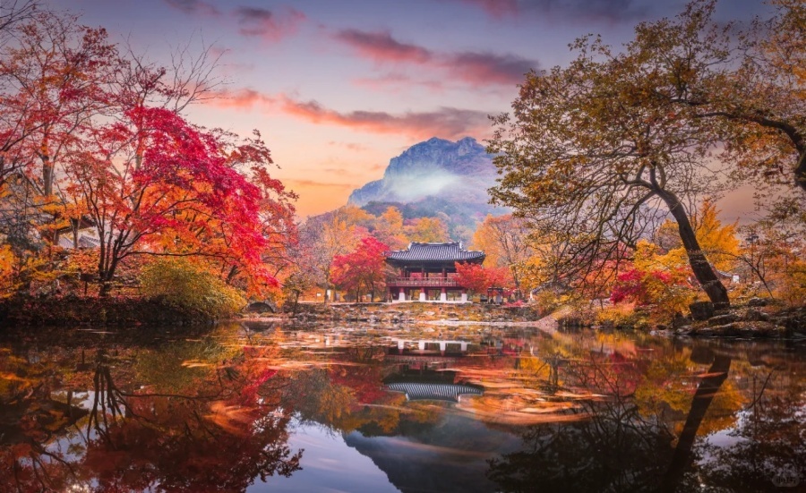 内藏山 (1).jpg