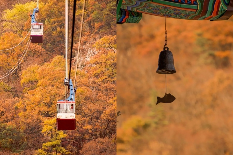 内藏山1.jpg