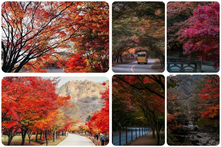 内藏山4.jpg