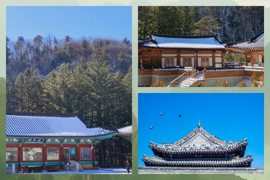 五台4.jpg