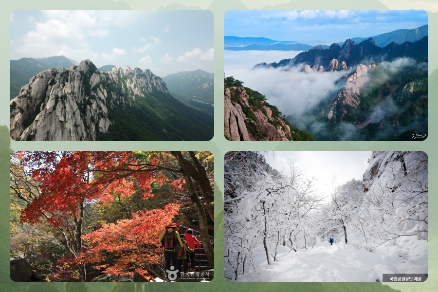 雪岳山.jpg