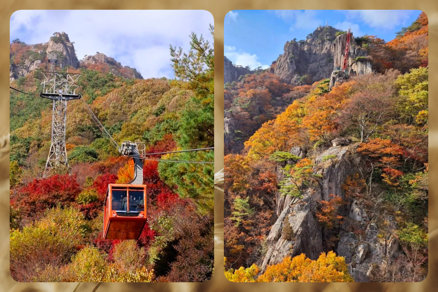 大屯山5.png
