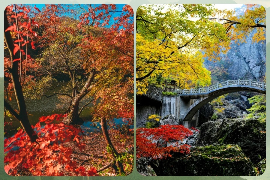 周王山4 (2).jpg
