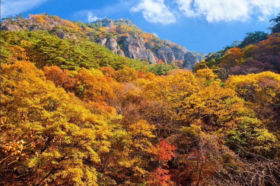 周王山12.png