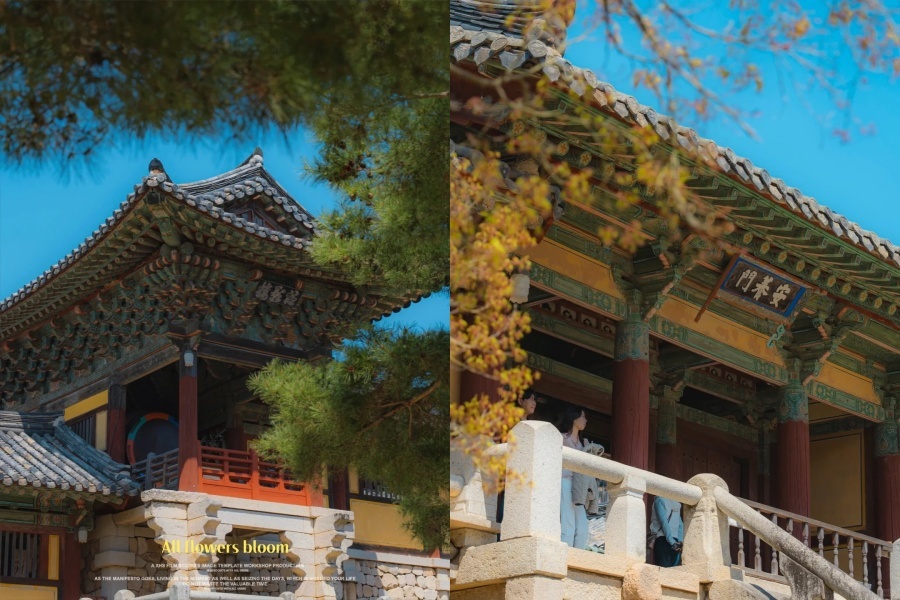 佛国寺3.jpg