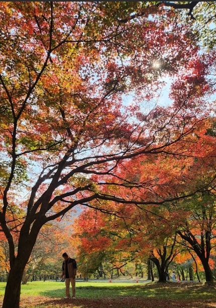 長泰山7.png