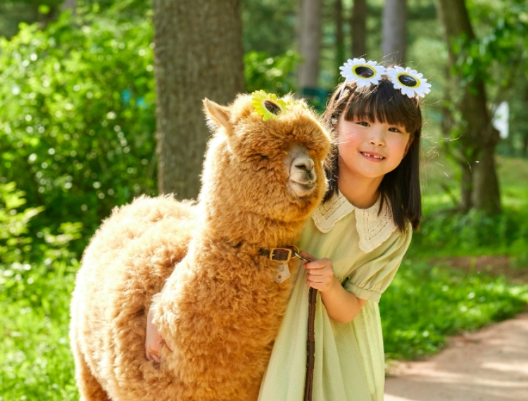 產品圖片