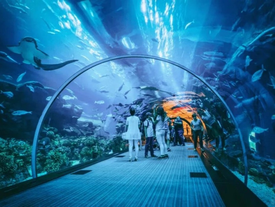 930-很低隧道.jpg