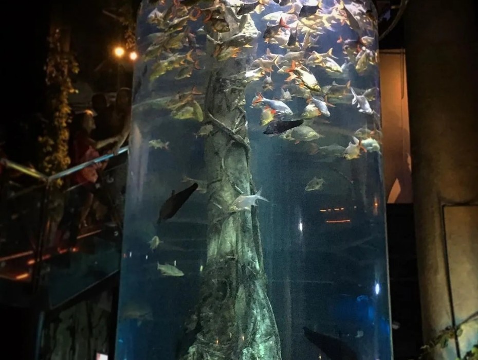 930-热带雨林展区.jpg