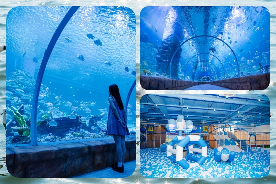 海洋1.jpg