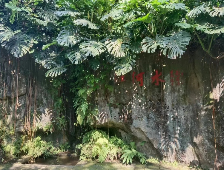 產品圖片