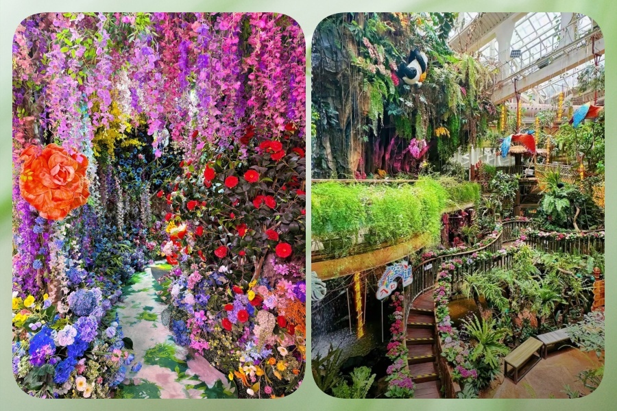 植物2.jpg