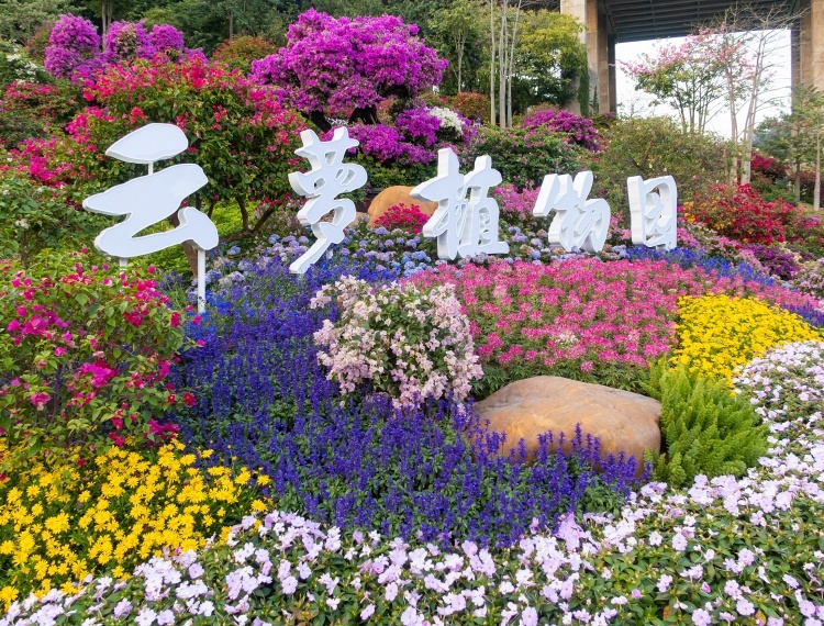 產品圖片