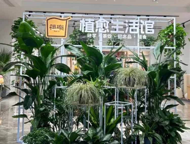 產品圖片
