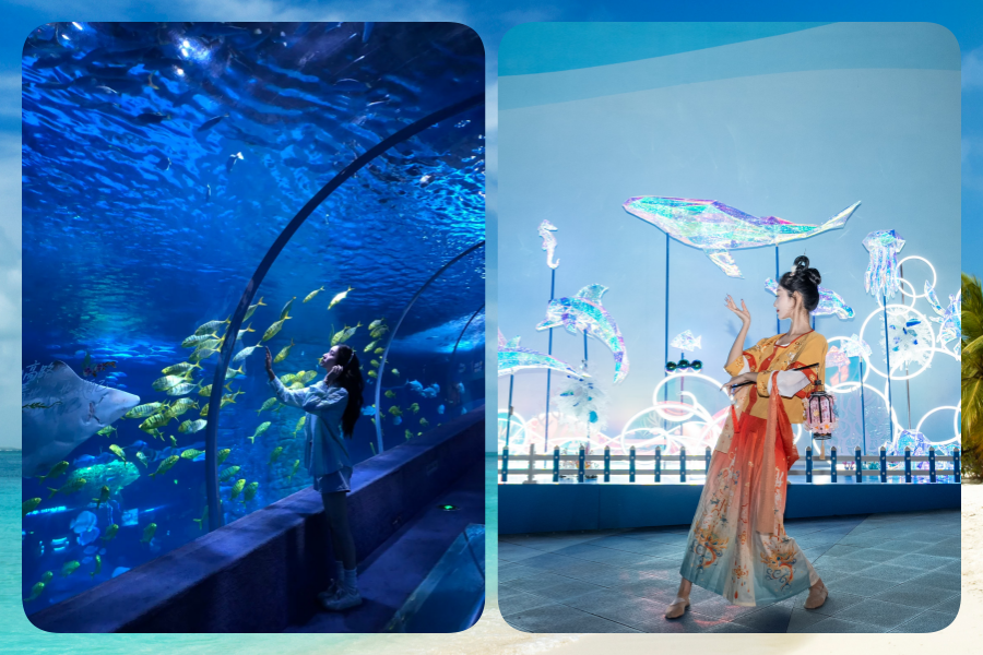 海洋5.png