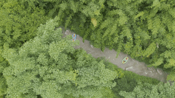21.gif